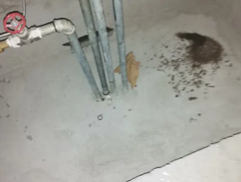 睢阳卫生间测漏水价格明细